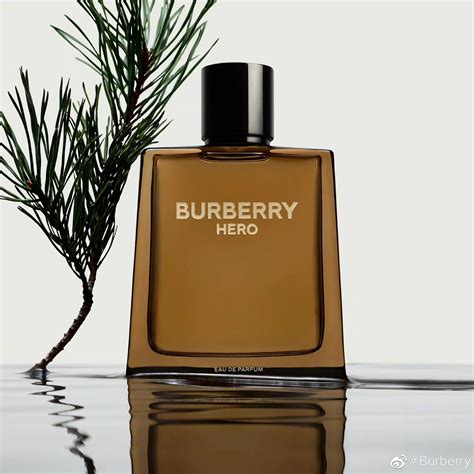 burberry parfum elixir|Burberry perfume for men.